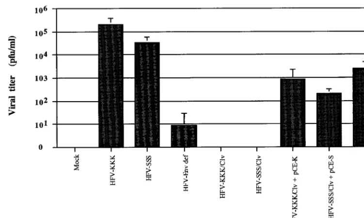 FIG. 6. Glycoprotein-driven budding of virus-like particles. Results of so-dium dodecyl sulfate (SDS)-PAGE of HFV proteins from 293T cells transfected