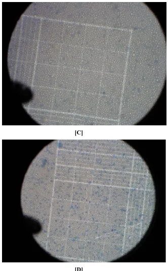 Figure-11 Effect of extract on Non-Viable Cell Count after 14 days treatment