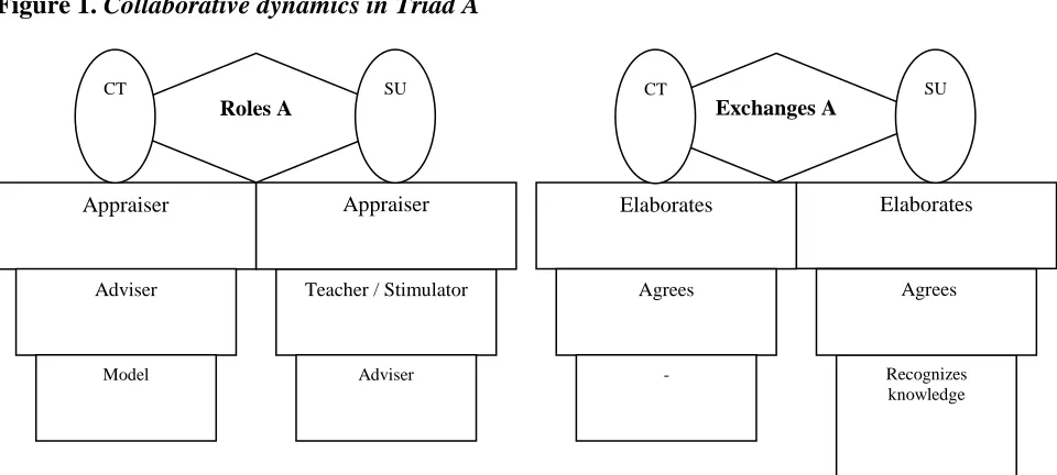 Figure 1.  Collaborative dynamics in Triad A 
