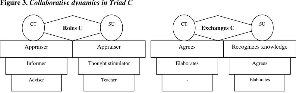 Figure 3. Collaborative dynamics in Triad C  CT 