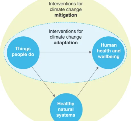 Figure 1. How health is conceptualised in built environment climate change adaptation and mitigation