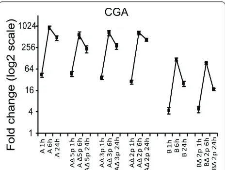 Figure 7 Phosphorylation site-directed mutagenesis of NPSR1-6 and 24 h NPS stimulation of HEK-293 cells overexpressing NPSR1-A or -B containing phosphorylation site mutations in the C-termini.From left to right: NPSR1-A,-AA and NPSR1-B C-termini