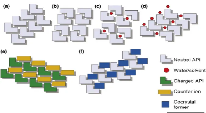 Figure 2: The range of single crystalline forms that is possible for an API: (a) 