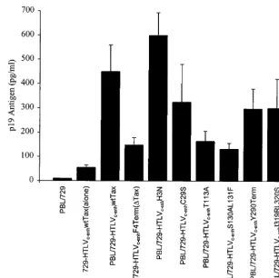 FIG. 4. p19 Gag expression in infected PBL. Cell supernatants were obtained at day 21, as described in the legend to Fig