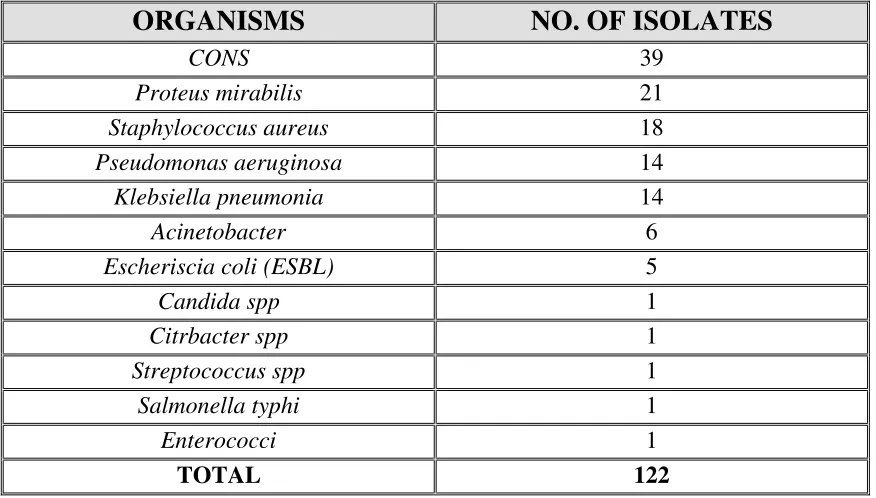 TABLE 1. BACTERIOLOGIC PROFILE IN PHASE I TRAIL