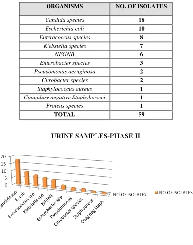 TABLE 4. URINE SAMPLES - PHASE II TRIAL 