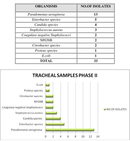 TABLE 5. TRACHEAL ASPIRATE SAMPLES - PHASE II TRIAL 