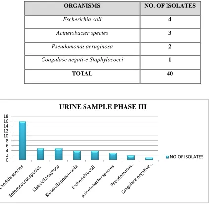 TABLE 11. TRACHEAL ASPIRATE SAMPLES - PHASE III TRIAL 