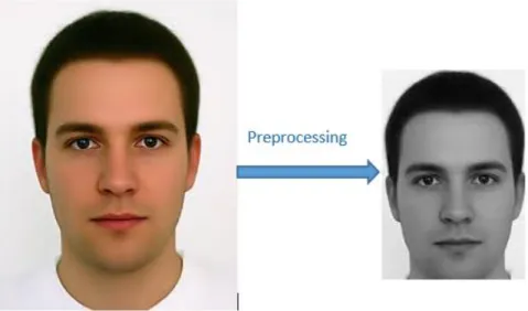 Figure 3.6.  Example of Prepressing Methods including cropping, resizing and Histogram