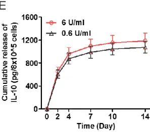 Figure 4. in vitro examination of biocompatibility and paracrine effects of  the hydrogel