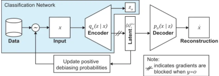 Figure 2: Debiasing Variational Autoencoder. Architec- Architec-ture of the semi-supervised DB-VAE for binary  classifi-cation (blue region)