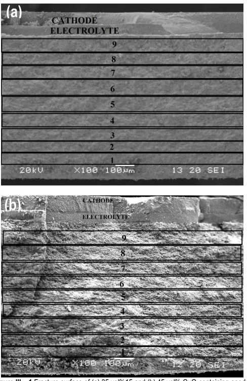 Figure III – 1  Fracture surface of (a) 35 vol%15 and (b) 45 vol% CuO-containing anode-supported SOFC   