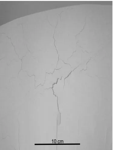 Figure IV – 3. Defect free green surface  