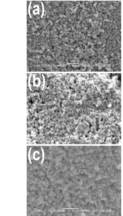 Figure IV - 11. Fracture surface of (a) 2 mol% Bi2O3-containing sample sintered for 3 h, (b) 2 mol% Bi2O3-containing sample sintered for 10 h and (c) 6 mol% Bi2O3-containing sample sintered for 10 h (sintering temperature = 1050°C)