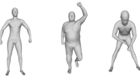 Fig. 5. The real SHREC 2014 dataset