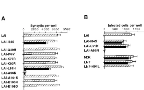 FIG. 3. Amino acid sequence of the gp41 extracellular domain of the HIV-1 strains LAI, NDK, and ADA