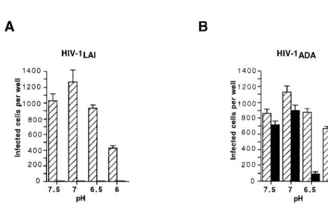 TABLE 1. Effect of RPR103611 on fusion and stability of differentHIV-1 Env