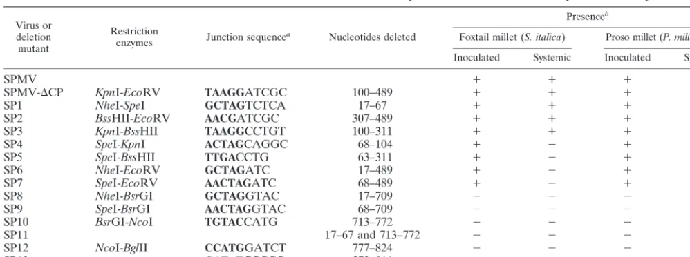 TABLE 1. Features of the SPMV deletion mutants and their PMV-dependent accumulation on two species of millet plants