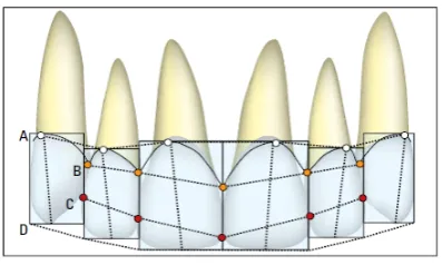 Figure 1 - Diagram of Facial Aesthetic Reference (DFAR) 