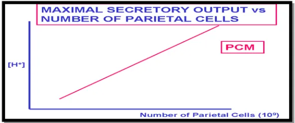 Fig .4 - Graph showing the maximum secretion of acid with increasing number of parietal cells