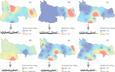 Fig. 4. Diagram of the parametric evaluation method using GIS