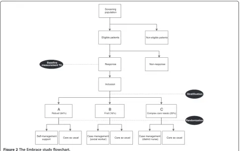 Figure 2 The Embrace study flowchart.