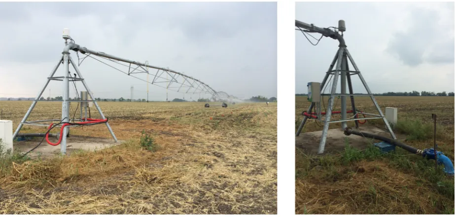 Fig. 1. An example of irrigation uniformity test using rain-gauge for measuring the uniformity coefficient