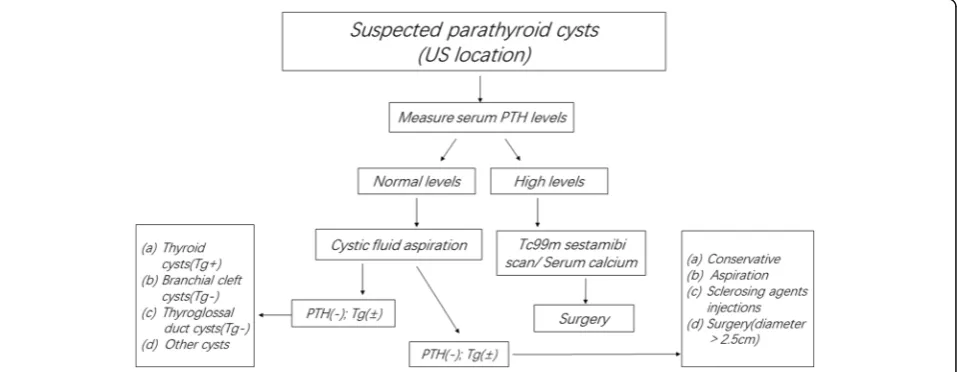 Fig. 5 Process for evaluation and management of patients with suspected parathyroid cyst