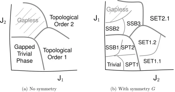 Figure 1: Generic phase structure in phase diagrams with and without symmetry. With- With-out symmmetry, gapped phases are distinguished only by topological order or, for the single short ranged entangled phase, lack of topological order