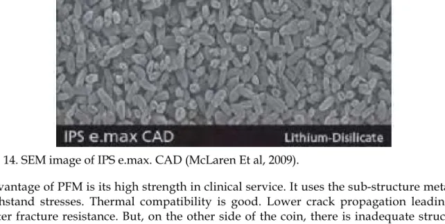 Fig. 14. SEM image of IPS e.max. CAD (McLaren Et al, 2009).  