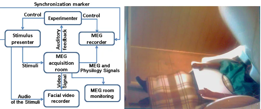 Figure 2.3: Timeline for experimental protocol.