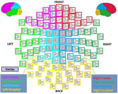 Figure 2.5: Elekta Neuromag MEG channel positions. Channels corresponding to differentlobes are color-coded (ﬁgure adapted from www.megwiki.org, best viewed under zoom).