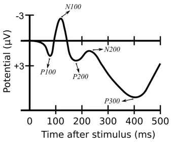 Figure 2.5: A schematic illustration of some well–known ERPs.