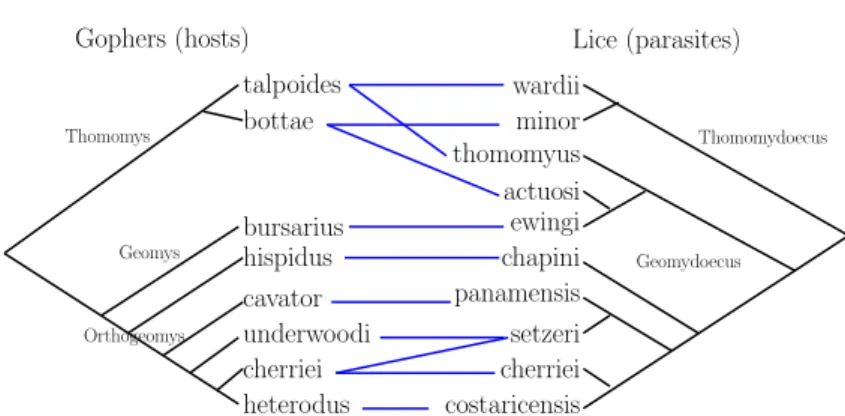 Figure 5.1: A tanglegram of two binary trees, taken from [57]. The maximum number of tangle edges incident to a leaf node in this case is two.