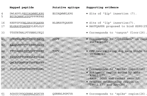FIG. 4. Summary of antibody epitope mapping. Each box represents a 15-amino-acid peptide sequence from AAV VP1 starting at MAADGY and ending withLTRNL
