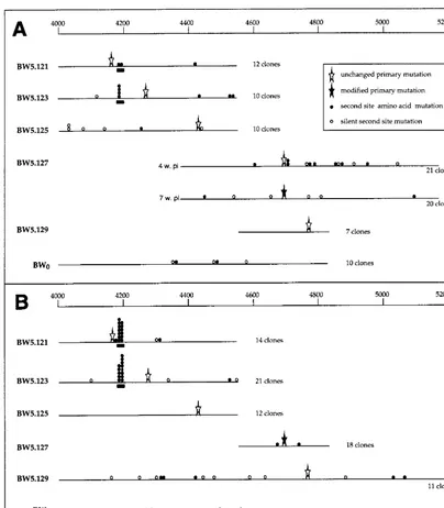 FIG. 4. Distribution of nucleotide mutations detected in progeny viral RNA following agroinfection of N