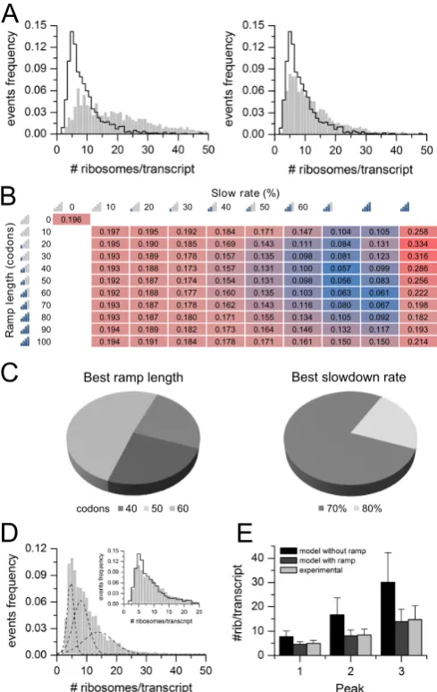 Figure 4. Optimization of model parameters in Hek-293. (Pie charts showing the results of 100 ramp parameters optimizations per-formed with 50–50 cross validations on the Hek-293 transcriptome