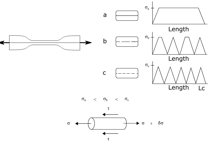 Figure 2.2. Schematic diagram of single fiber fragmentation test. 