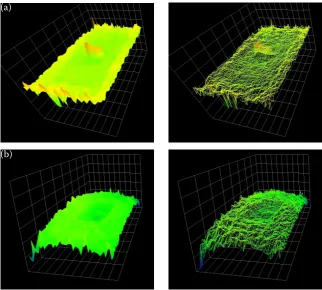 Fig. 6. Recording for (a) dimensions of 75 mm × 4.5 mm at the height of 500 mm, exposure of 15.2 ms and (b) dimen-sions of 75 mm × 4.5 mm at the height of 1,000 mm, exposure of 17.3 ms (left image – perspective model, right image –  mesh network); image on the left presents the output of intensity, the one in the right presents the shot distance vector and third shows the image converted into 3D view 
