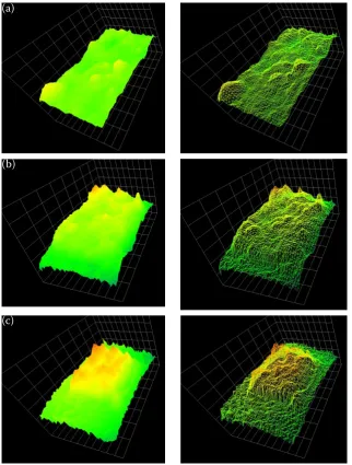 Fig. 12. Testing area of the field after tillage; measured at the height of (a) 500 mm, (b) 1,000 mm and (c) 1,500 mm (left image – perspective model, right image – mesh network)