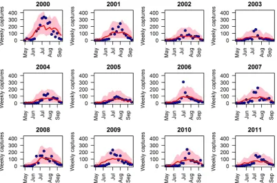 Figure 2.1: Model ﬁt. Average number of weekly captured Cx. pipiens during the twenty-weeksurvey period observed in Piedmont region from 2000 to 2011 (blue points) and predicted bymodel simulation based on the estimated posterior distribution of free parameters (median inred, pink region deﬁnes 2.5-97.5% quantile predictions).