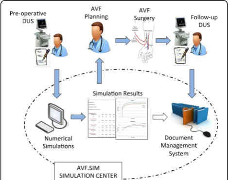 Fig. 1 Representation of AVF.SIM system showing the procedure,that includes data collection and transfer, simulation managementand data storing