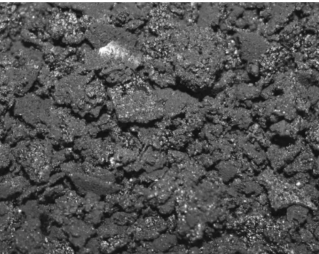 Fig. 1. Biochar – reaction conditions: 200°C, time 5 h, reactor not mixed