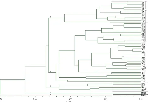 Figure 2. UPGMA (Unweighted pair group method based on arithmetic means) dendrogram derived from similarity matrix of Jaccard’s coefficient, demonstrating the genetic relationships among 62 accession of acid lime landraces, based on 11 mic- 