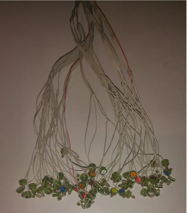 Figure 2.3: The electrodes used to record surface electrical activity of the brain.