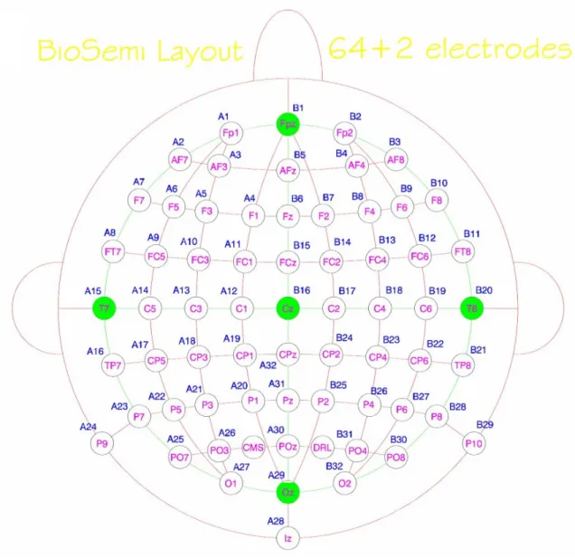 Figure 2.5: The standard 10-20 system showing electrode placement locations.