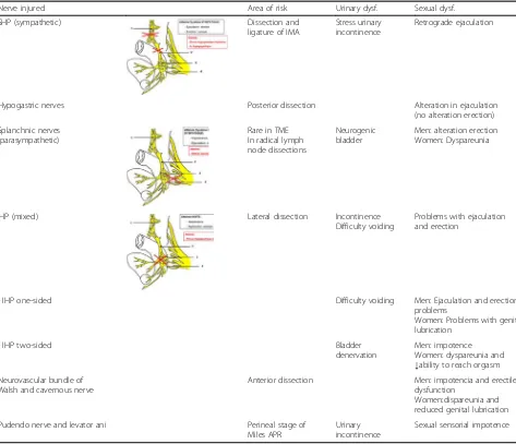 Table 2 Areas with risk of lesion in the main autonomic nerves, and their effects