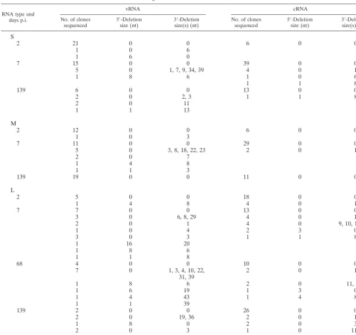 TABLE 2. Number of nucleotides missing from the cloned 5� and 3� S, M, and L vRNA and cRNA terminia