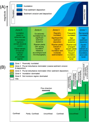 Figure   II Characteristics of the river corridor hydromorphological zones according to inundation frequency and sediment dynamics (A) and lateral variation along the longitudinal dimension (B) 