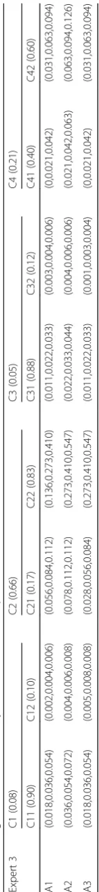 Table 8 Weighted normalized fuzzy decision matrix of Expert 3